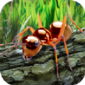 蚂蚁生存模拟器中文版 